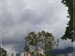 -重庆自然博物馆(新馆)