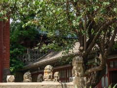 -窦大夫祠