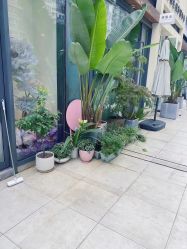-倩极·精研痘敏肌管理