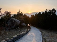-白水寺森林公园