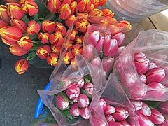 -循礼门鲜花花市(武汉循礼门店)