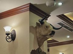 -摩根扒房(桐梓林店)