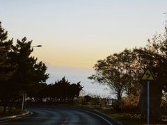 -棒棰岛宾馆景区