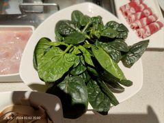 菠菜-海底捞火锅鲜切牛肉主题店(长寿路店)