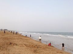 -日照海滨国家森林公园