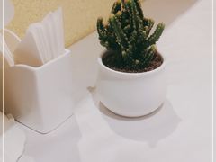 -维兰西餐(万泉河店)