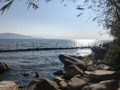 -才村湿地公园