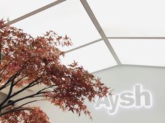 -艾薯夫妇Aysh(福田星河COCOPark店)