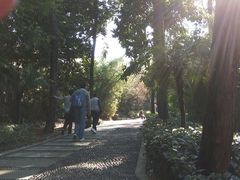 -铁山坪森林公园