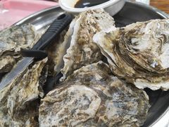 清蒸生蚝-江村四哥新鲜牛肉店(江高总店)