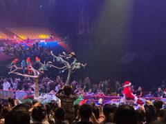 -广州长隆国际大马戏