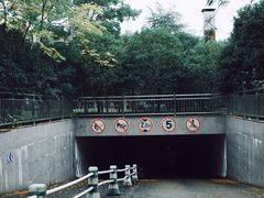 -杭州城北体育公园