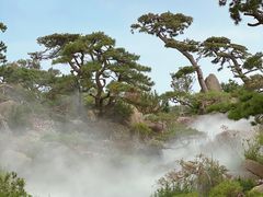 -罗红摄影艺术馆