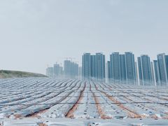 -光明小镇欢乐田园