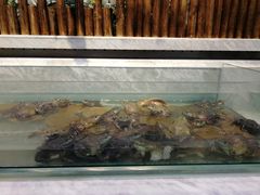 -川骄海鲜自助(河东店)