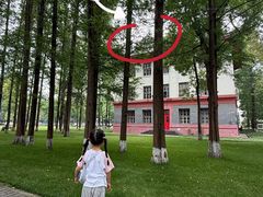 -四川大学(望江校区)