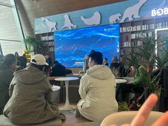 -抱抱地球咖啡馆(国家海洋博物馆店)