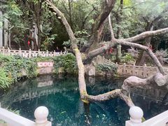 -蝴蝶泉公园