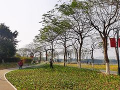 -海珠湖公园