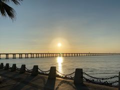 -宝安西湾红树林湿地公园