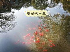 -无锡梅园公园
