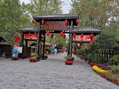 -合肥滨湖国家森林公园