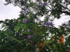 -西南民族大学南区(双流校区)