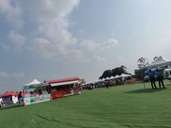 -光明小镇欢乐田园