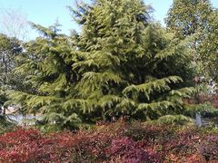 -白塘生态植物园