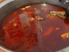-重庆特色冷锅鱼(武大店)