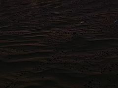 -迪拜沙漠冲沙