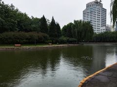 -团结湖公园