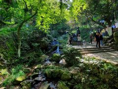-莫干山风景区