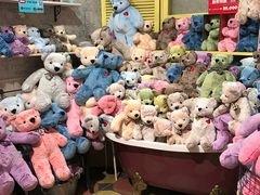 -济州岛泰迪熊博物馆