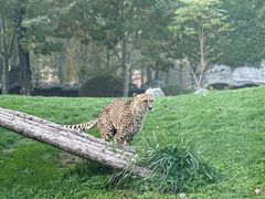 -北京野生动物园