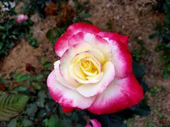 -人民公园(罗湖区)