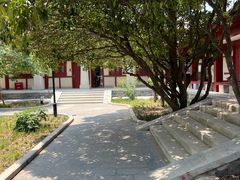 -洛阳古墓博物馆