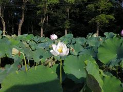 -韶山毛泽东同志故居