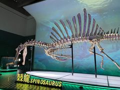 -香港科学馆