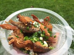 蒋师傅招牌酥鱼-大马弄蒋师傅美食酥鱼(察院前店)