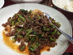 -荷花泰菜(东方新天地店)