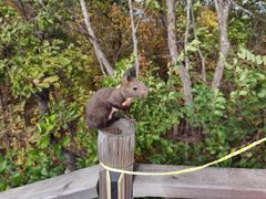 -帽儿山国家森林公园