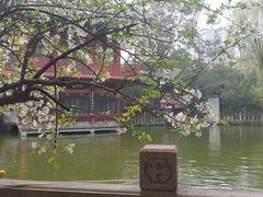 -房湖公园