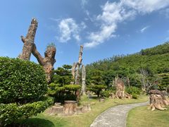 -深圳仙湖植物园