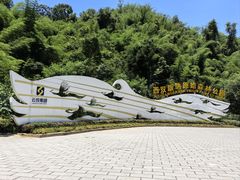 -西双版纳原始森林公园