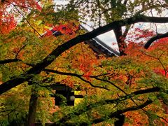 -常寂光寺