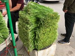 -暖泉古镇