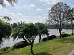 -枫香湖儿童公园
