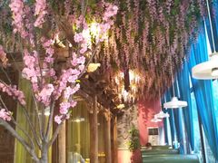 -食欲老院子荆芥疙瘩汤(经五路店)