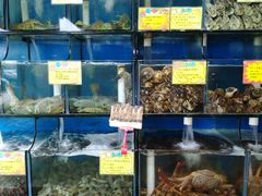 水产区-蚝专家(北滘店)